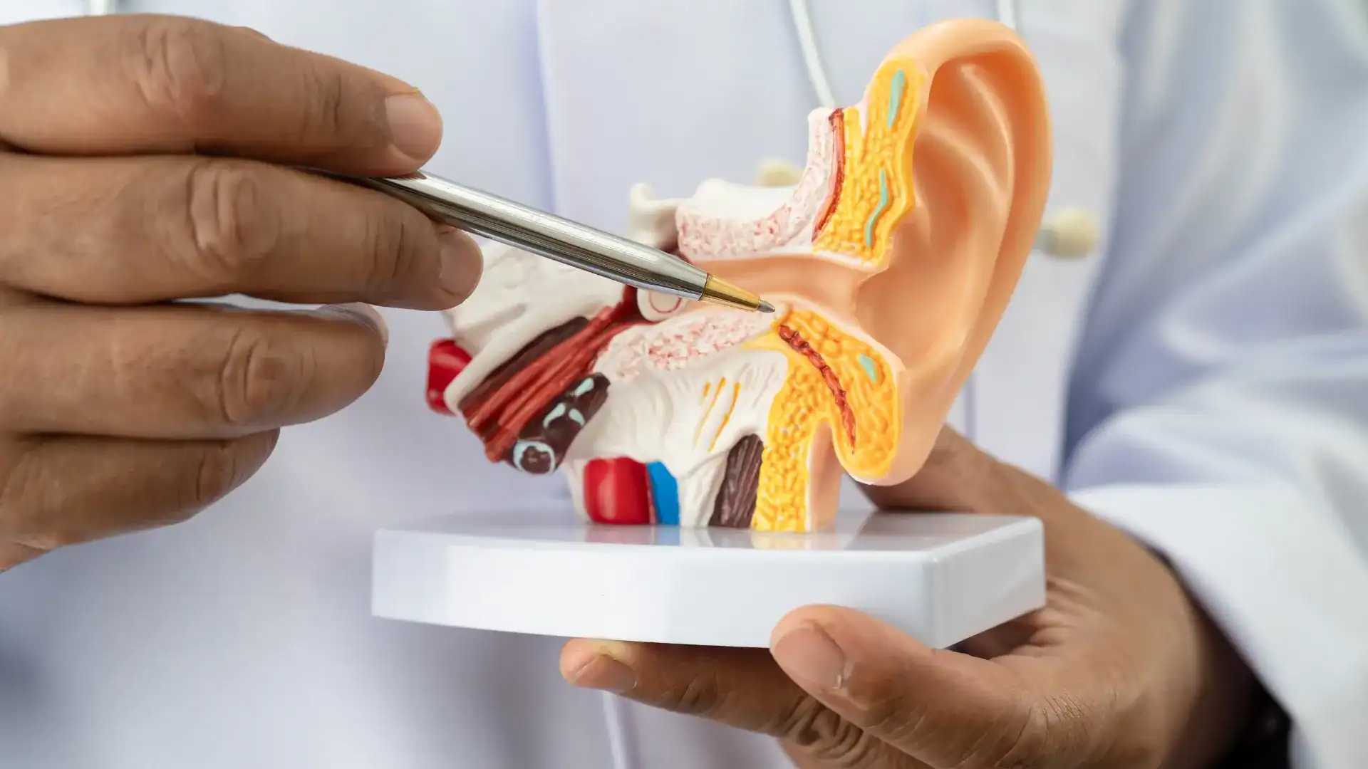 Featured image for “Hearing Care Myths That May Be Holding You Back”