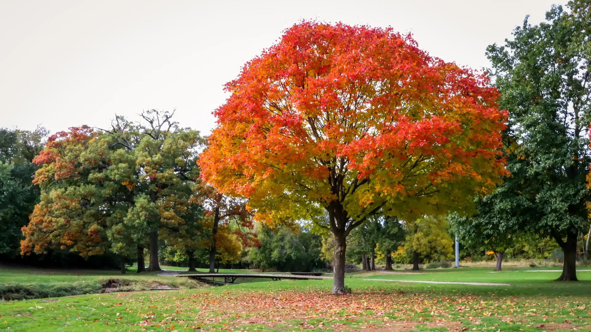 Featured image for “How Weather Changes Can Impact Tinnitus”